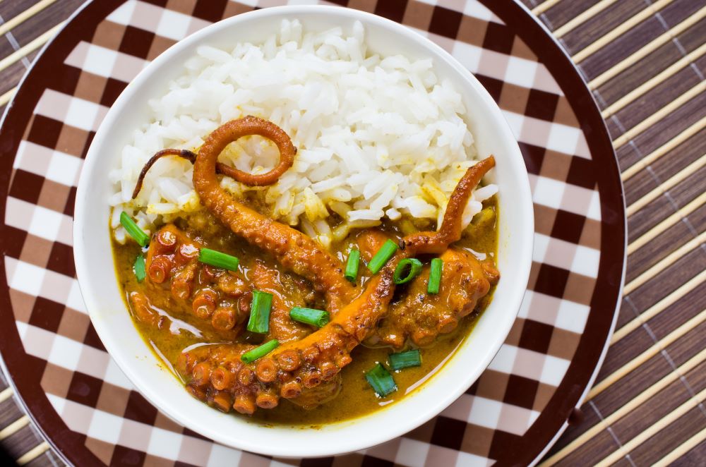 octopus curry